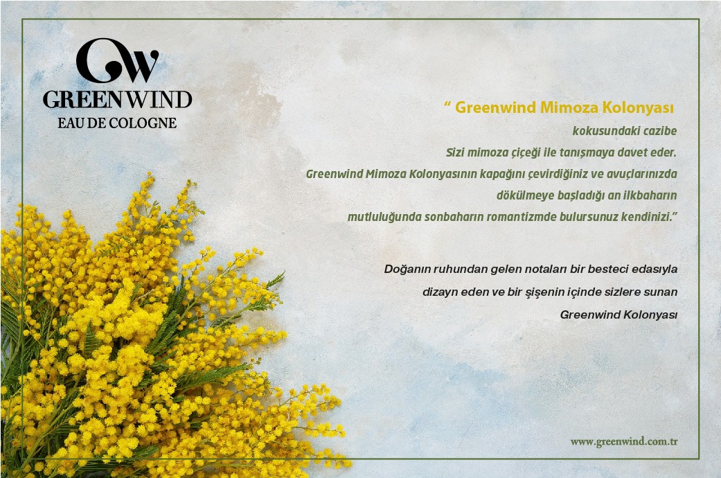 Greenwind Mimoza Kolonyası; Yaşamın Yeni Rengi